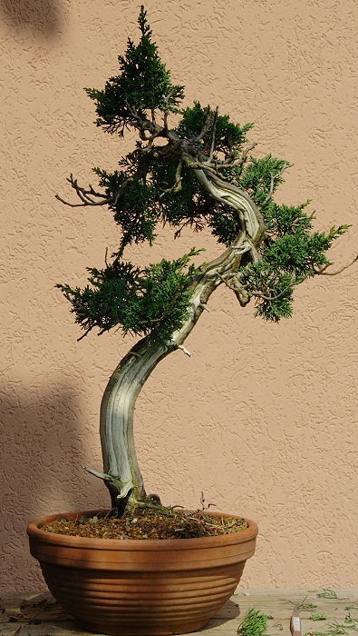 2008919142359_IMG_7517