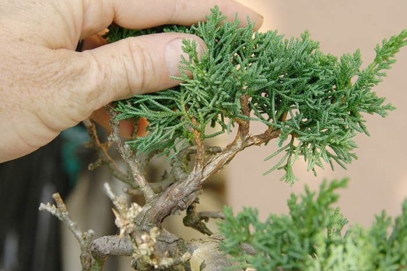 2008919142414_IMG_7528