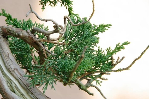 2008919142559_IMG_7533