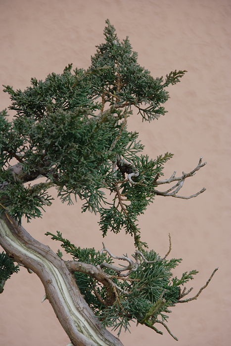 2009116163349_IMG_2295-1