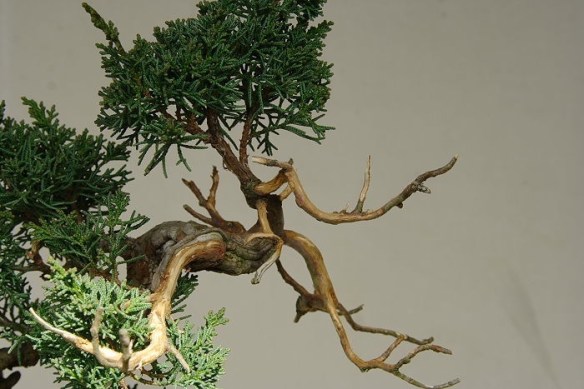 2009117193853_IMG_2341