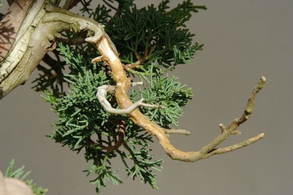 2009117194025_IMG_2343