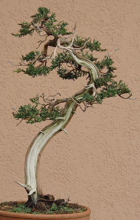 2009119113314_IMG_2376