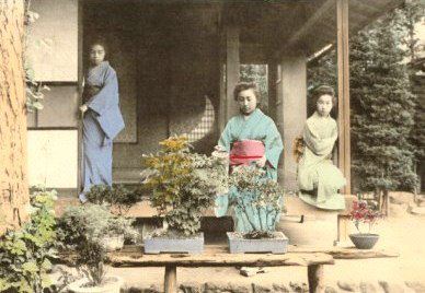 389472_437359139655707_114062962_n