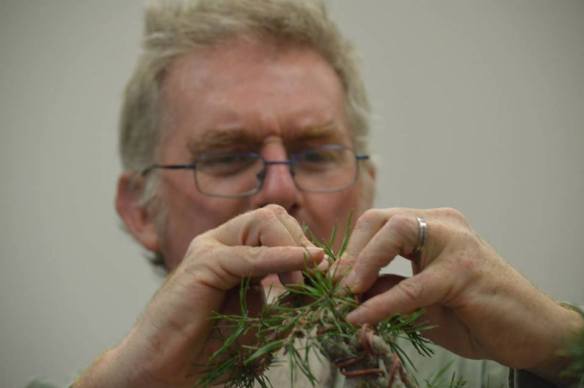 1424276_10202549812856651_693570325_n