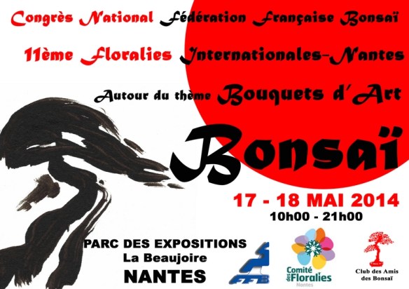 affiche congres Nantes 2014 Mini