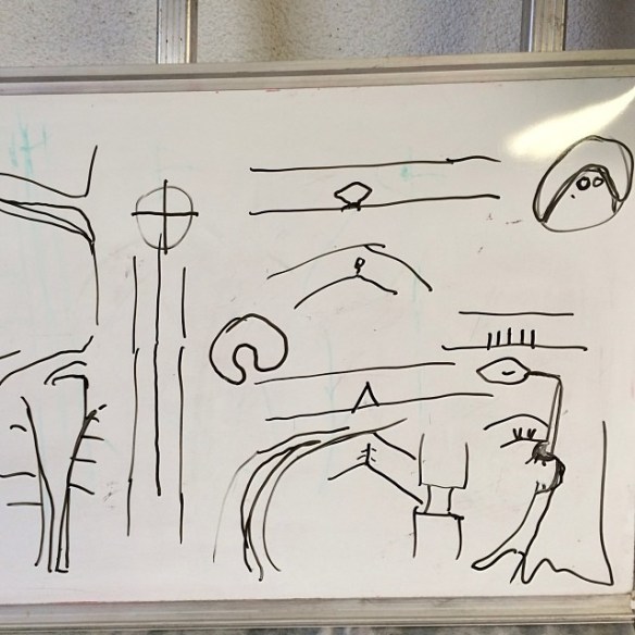 1010103_10202198166494358_114072712_n