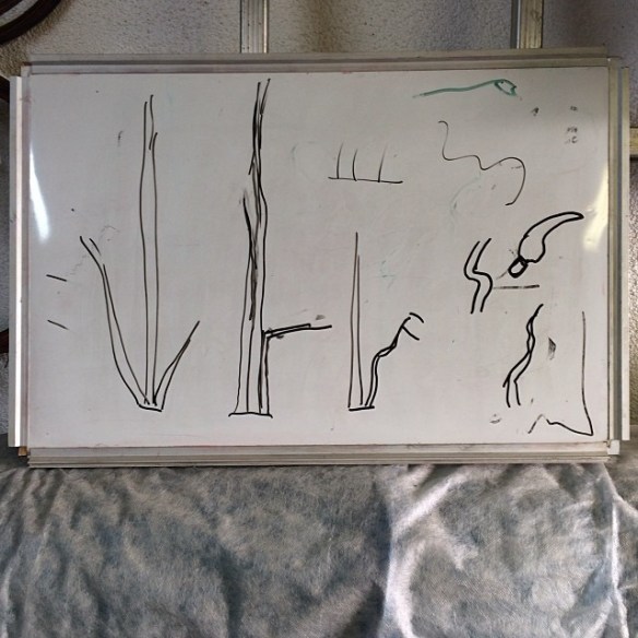 1557547_10202198166974370_1999000375_n