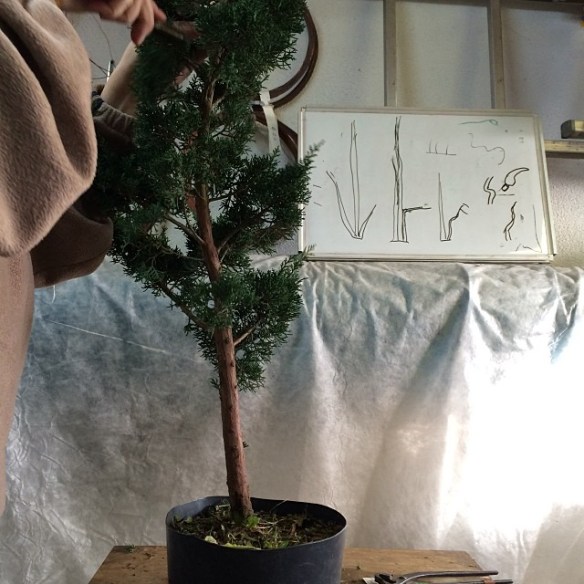 1901168_10202198167934394_1750712030_n