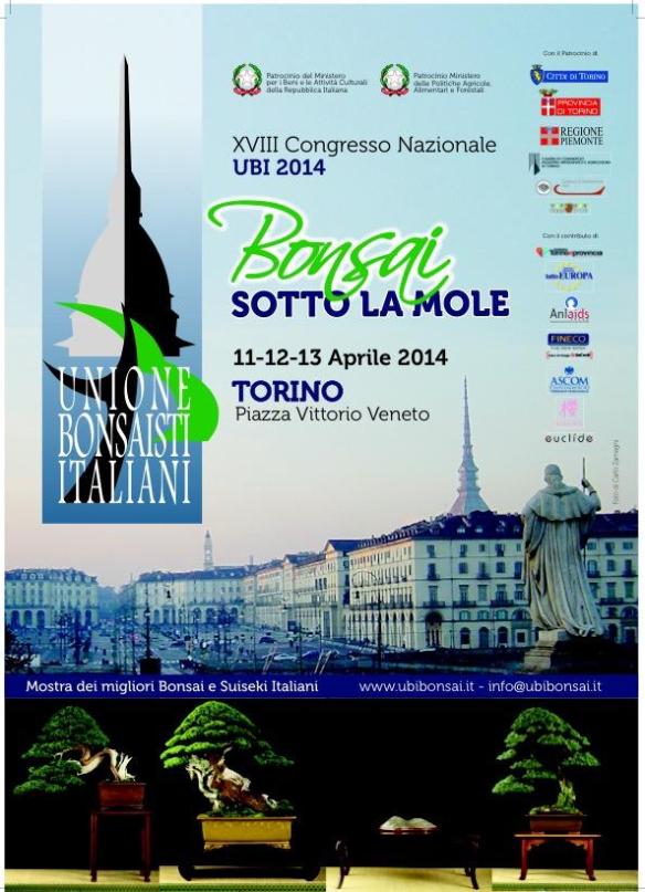 1531635_10203438038936787_5235284204594069294_n