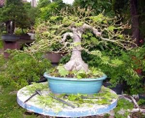 1398488_10201324660912712_1028661145924733253_o