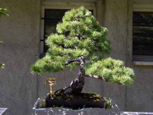 1941473_10201324662272746_9097927975010724124_o