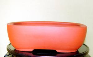 903314_10201324662072741_3630828105456262632_o