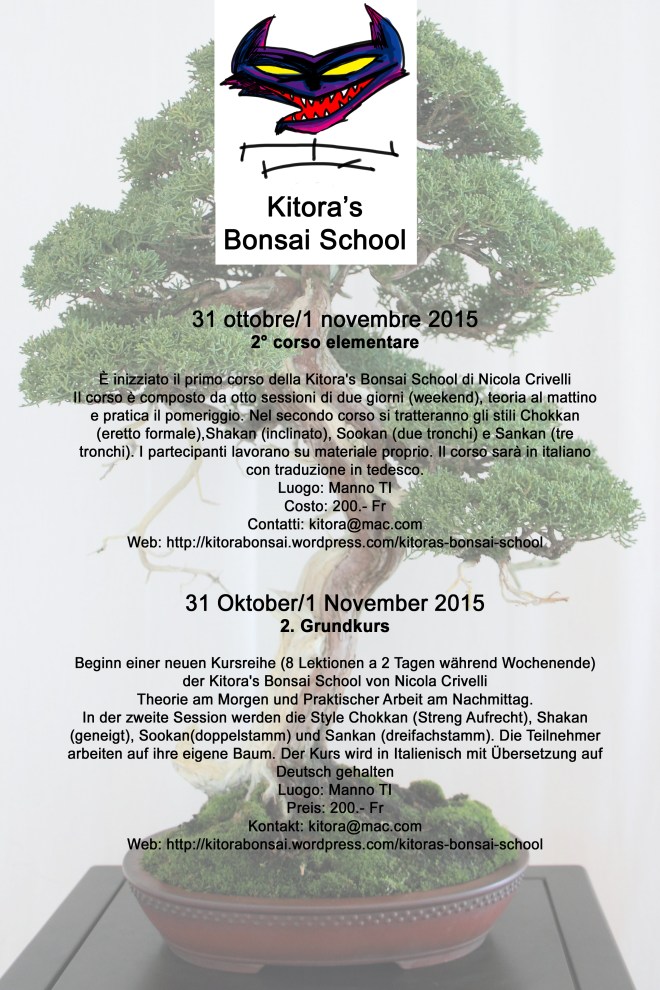 2corso kitora school3