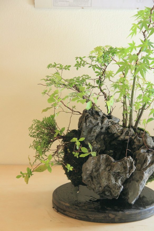 Featured Image -- 27127