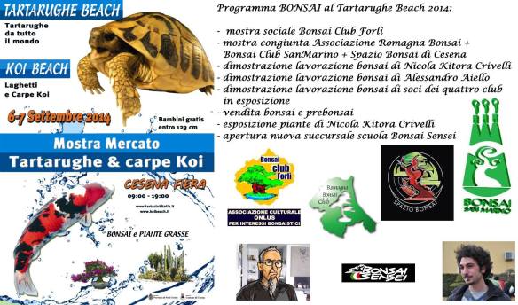 10582848_779528668769999_1975268528572369238_o