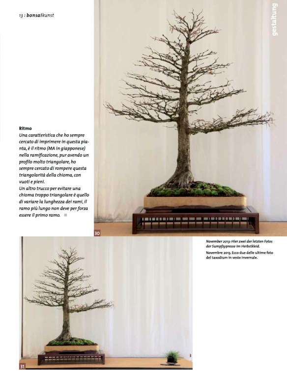 BK_70_NC_Taxodium-10