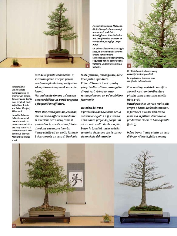 BK_70_NC_Taxodium-4