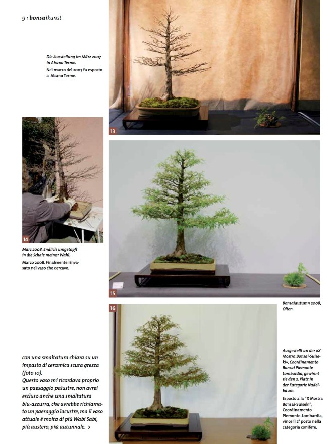 BK_70_NC_Taxodium-6