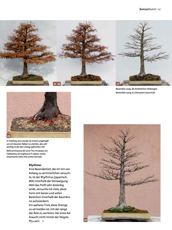 BK_70_NC_Taxodium-9