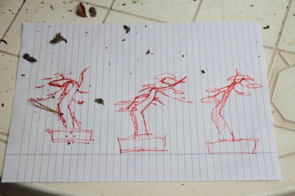 1404565_589635954431580_1381812704_o