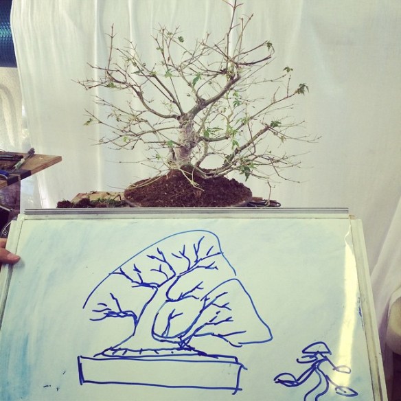 1797971_10203936357868056_524559508081351992_n