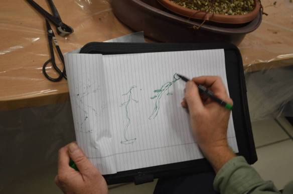 541464_593854377343071_1854301823_n