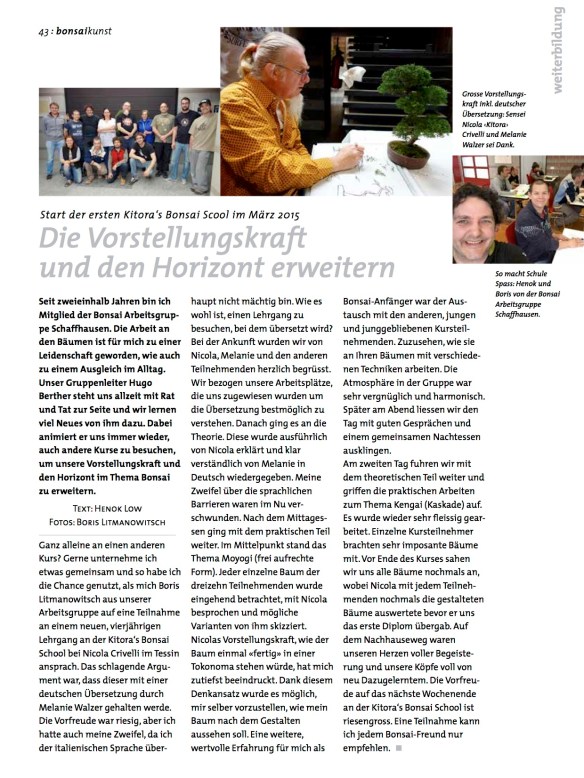 BK_74_HL_Artikel-Kitoras-Bonsaiscool
