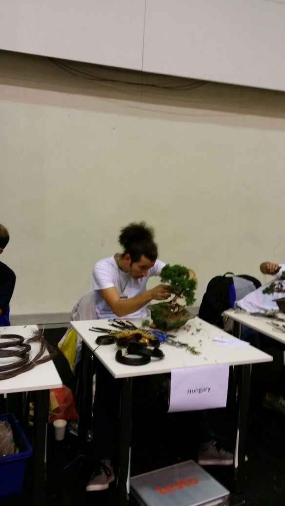 20150905_120346.jpg image