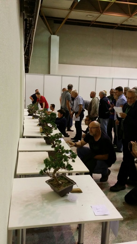 20150905_130931.jpg image