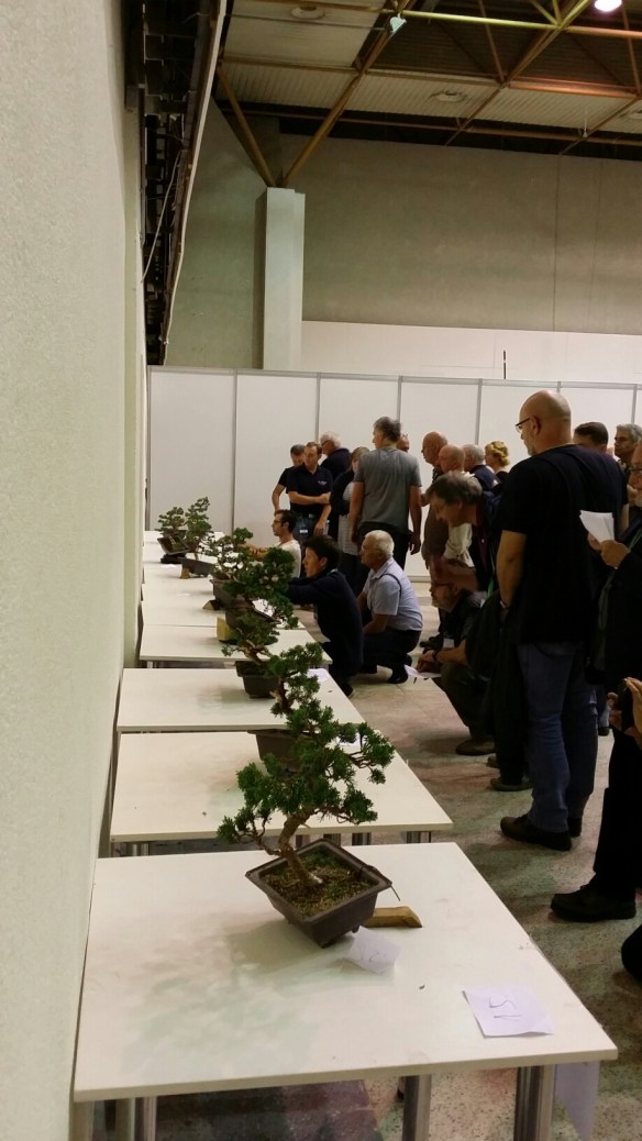 20150905_130935.jpg image