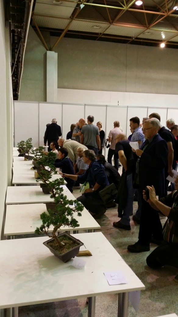 20150905_130940.jpg image