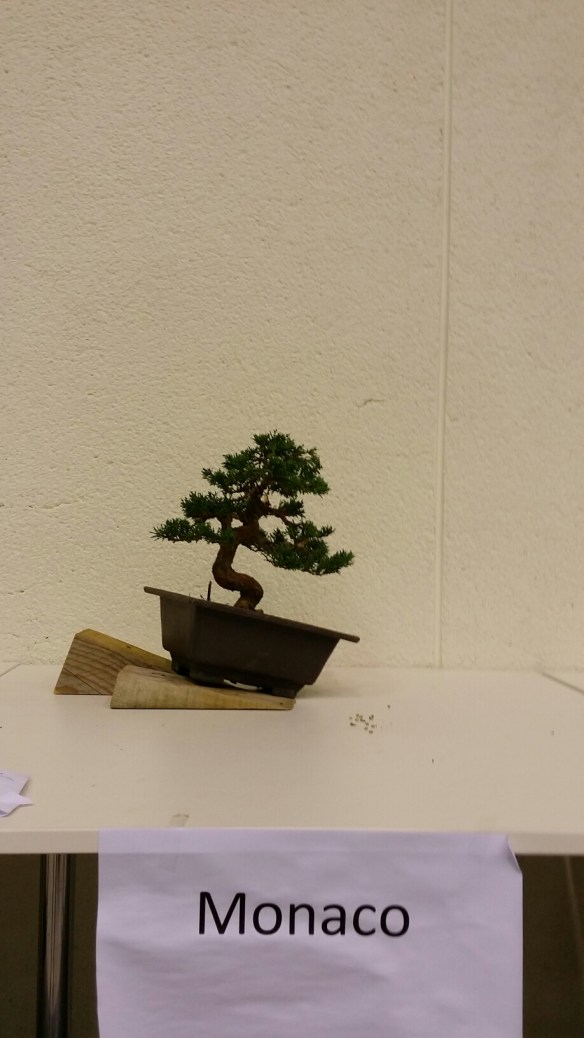 20150905_135249.jpg image