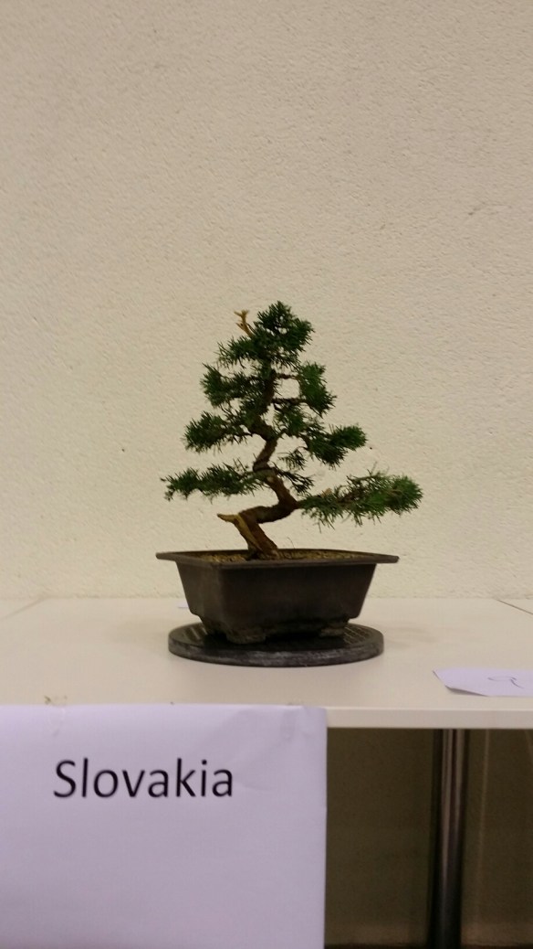 20150905_135256.jpg image