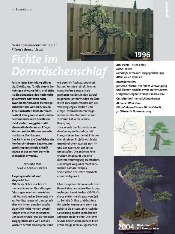 BK_76_SS-Fichte-im-Dornröschenschlaf11