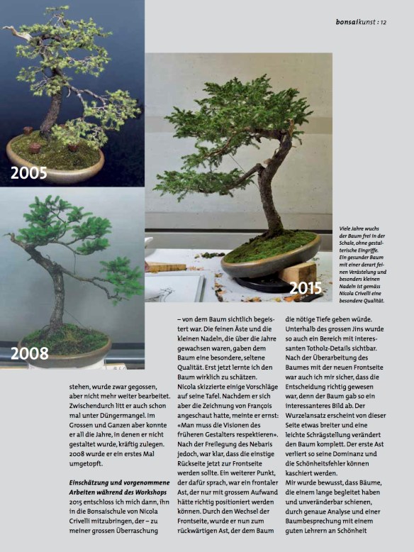 BK_76_SS-Fichte-im-Dornröschenschlaf12