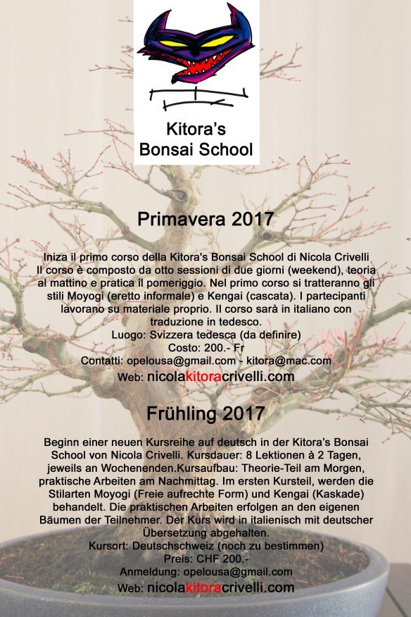 1corso-kitora-school-primavera-d-ok