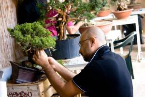 1375219_10151884898452509_693229347_n