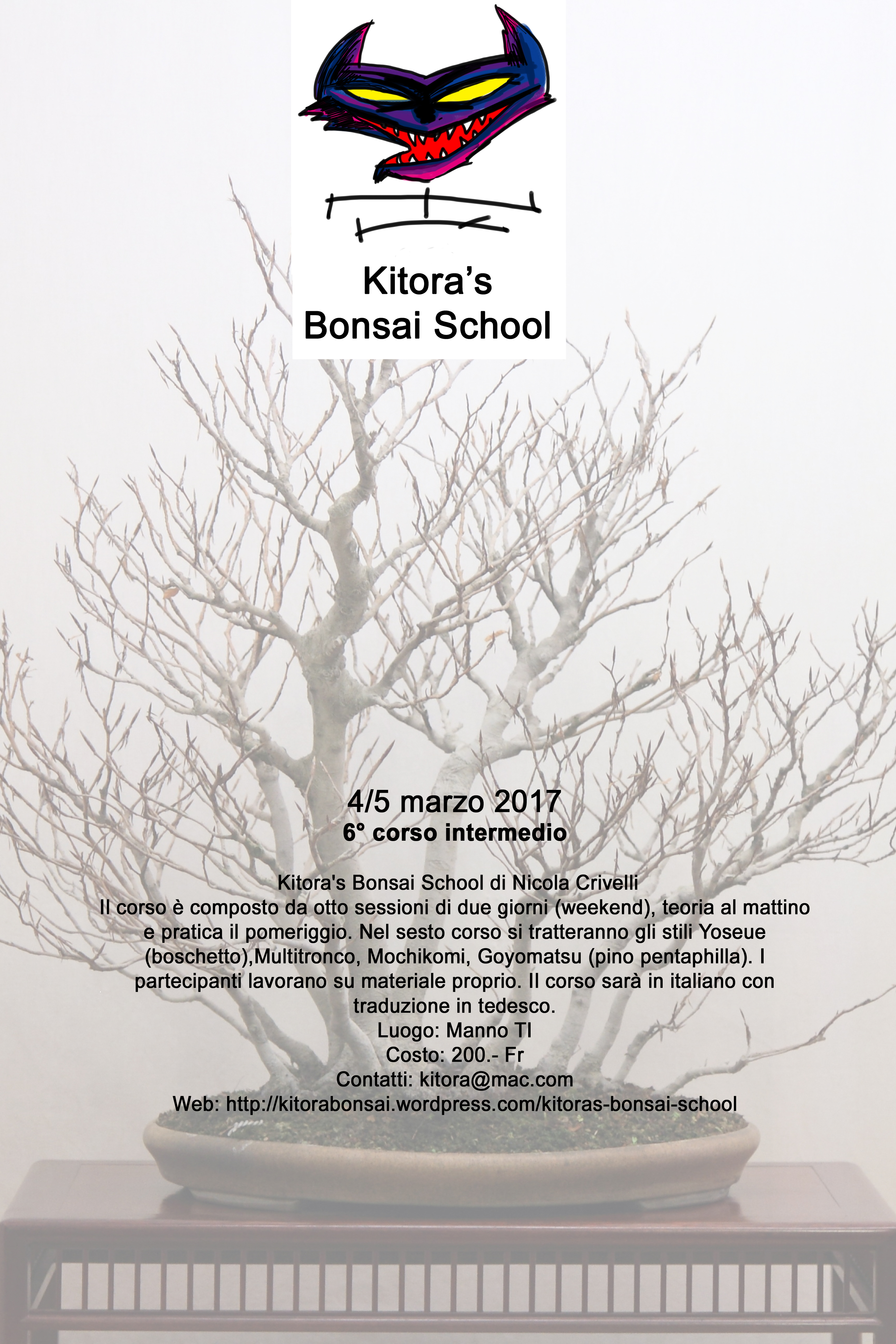 6corso-kitora-school