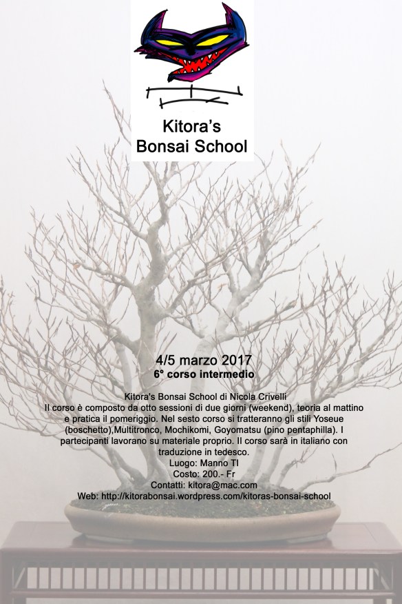 6corso-kitora-school