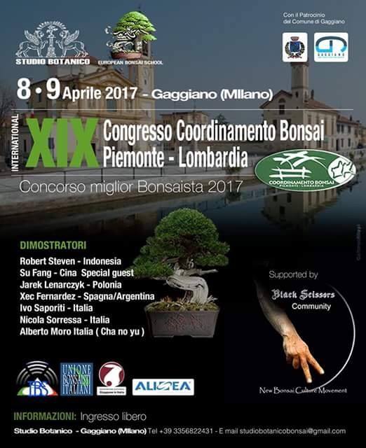 15726827_1294358743940389_5264775495660443330_n