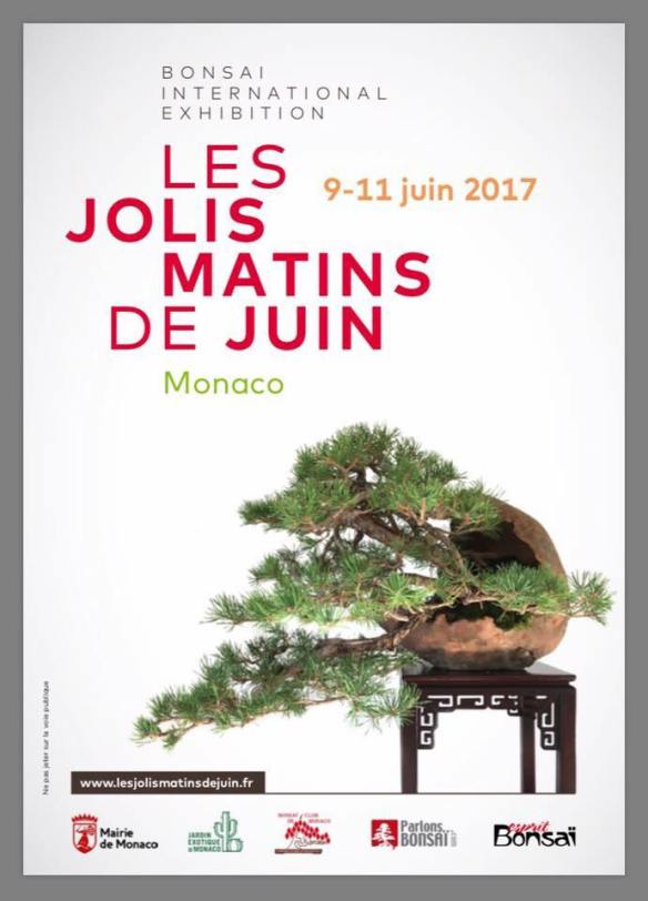 18951017_1407970785931422_3018449199348657116_n