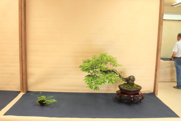 IMG_4960 24 6 2016 Predazzo.JPG