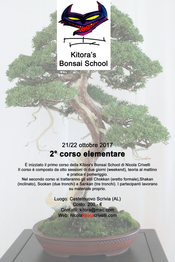 2corso italia kitora school