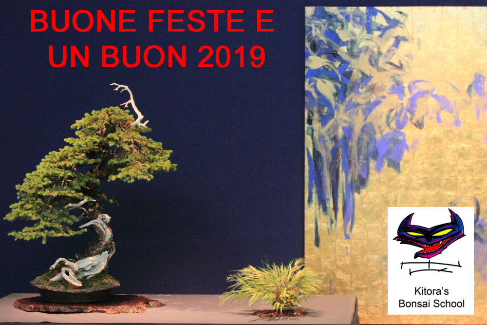 BUON 2019