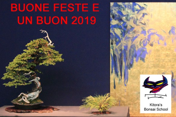 BUON 2019